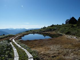 �o�R���S�Ҍ����I�������������̕S���R�u��Ë�x�v�ւf�n�I�̋L���T���l�C��