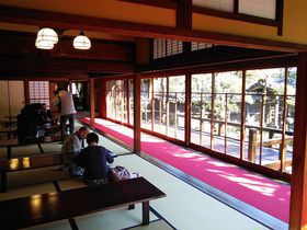 �����̉��������_�[�����h�u�Ė��v�̌��ǂ��낪�p���[�A�b�v�I�̋L���T���l�C��