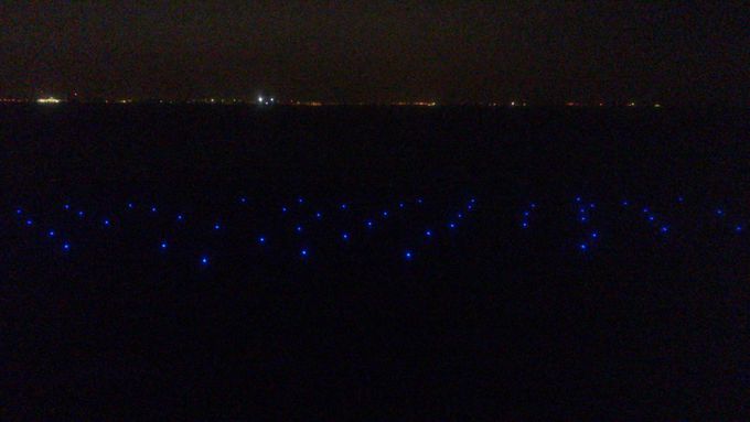 祝開通２０周年 夜の東京湾に輝く 海ほたる はまさに海の蛍 千葉県 Lineトラベルjp 旅行ガイド