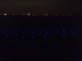 祝開通２０周年！夜の東京湾に輝く「海ほたる」はまさに海の蛍！