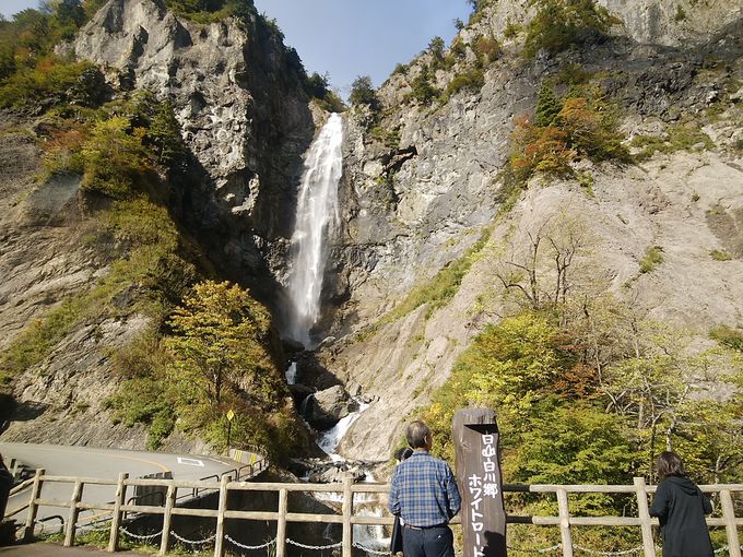 ���R���싽�z���C�g���[�h�͒ʍs���Ԃɒ���