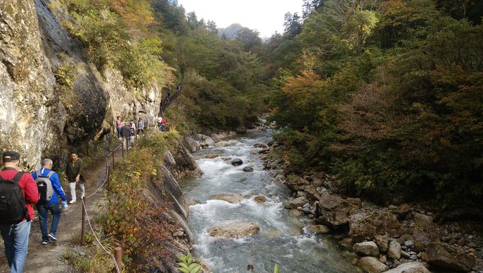 ��΂Ɋ���Ă��������֒J���n