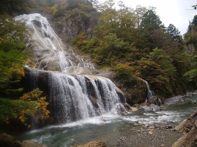 �W����̌�͕��򓃂��Y�ꂸ��