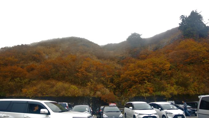 �g�t���y���ނȂ�e���ԏ�𗘗p���悤