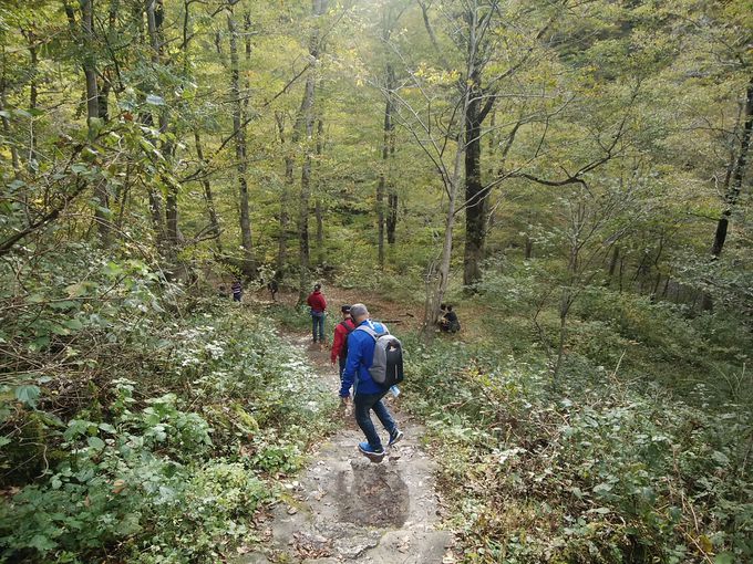 ��΂Ɋ���Ă��������֒J���n