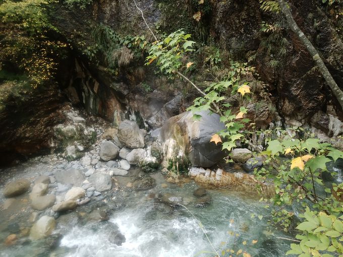 �W����̌�͕��򓃂��Y�ꂸ��