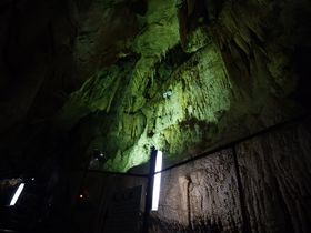 `̗ցIS㔪Ń_W̋LTlC