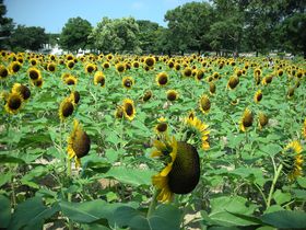 㖜LỎĂ͂Ђ܂肪ς̋LTlC