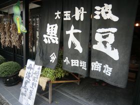 wځxɂƂ肠ꂽOgR}AցIH̖oڂ̒OgRɏW`̋LTlC