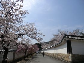 �B�ꂽ���̖����A���s�R�ȁ@���C���̐��ʂɉf����ɂ����Ƃ�̋L���T���l�C��