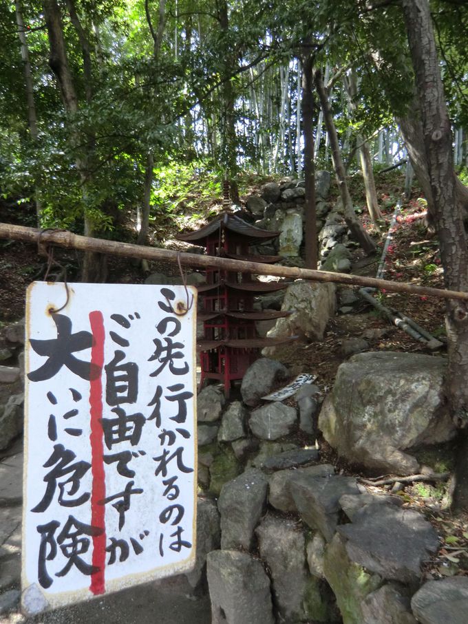 隠れた桜の名所 京都山科 勧修寺の水面に映る桜にうっとり 京都府 トラベルjp 旅行ガイド