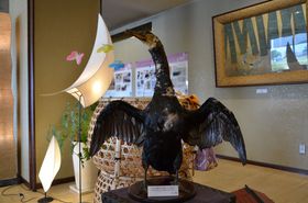 �L�����H�𔲂��đD���ցI���ǐ�͔̉ȂɘȂޏh�u�\���O�v�̋L���T���l�C��