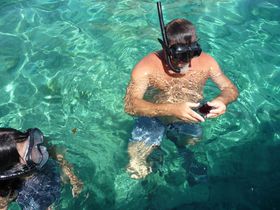 イタリア・トレミティ諸島で、天然のウニを手づかみしよう