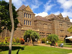 `mInCƍDɂȂjX|bgRI̋LTlC