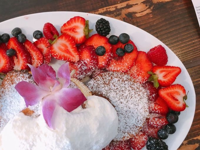 s̐lCj[uXt̃TNtpP[Lv