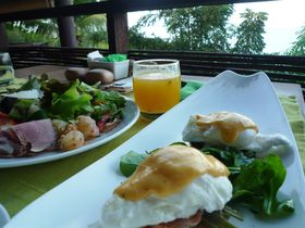 �T���C���̑厩�R�ɕ����ꂽ���]�[�g�u�V�b�N�X�E�Z���V�Y�v�̋L���T���l�C��