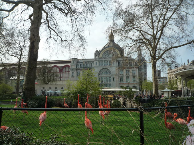 9�D�A���g���[�v������