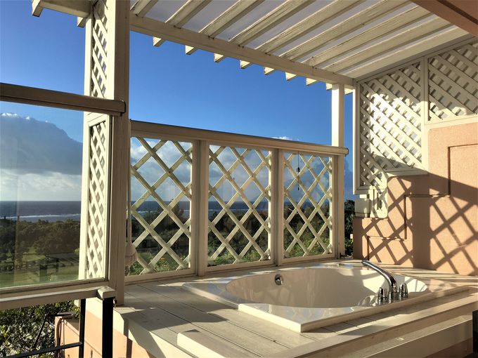 eXɃWOW[tI炷悤ɑ؍݂łLq