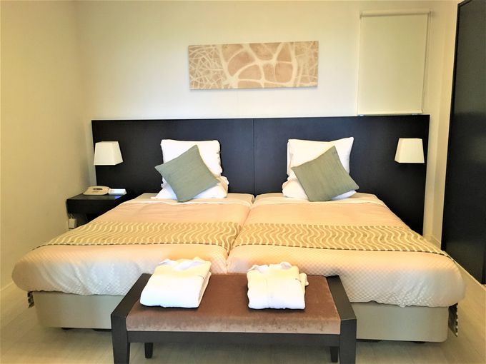 eXɃWOW[tI炷悤ɑ؍݂łLq