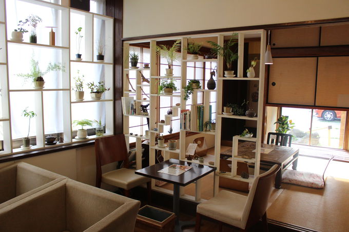 ÖƃJtFō荂ƂXC[cɐ