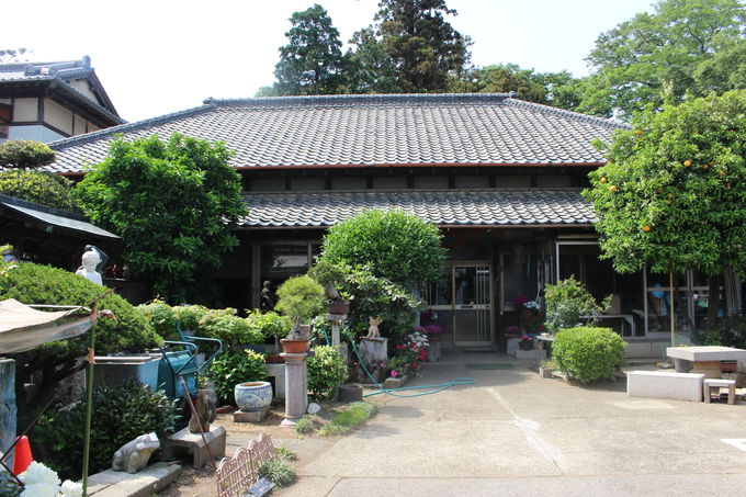 JtFj[ɂoI5ڂ̉lĂn[u