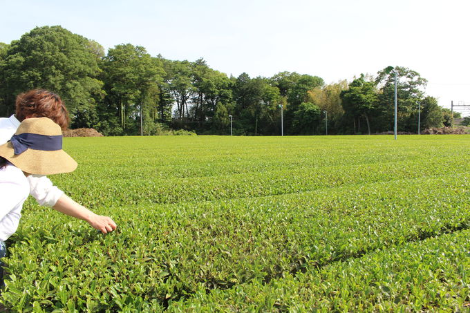 LȒɎqɂȂǌǂ떞