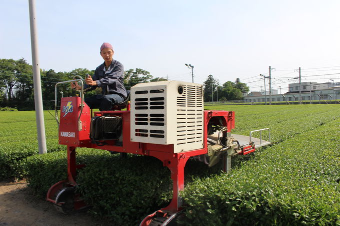 LȒɎqɂȂǌǂ떞