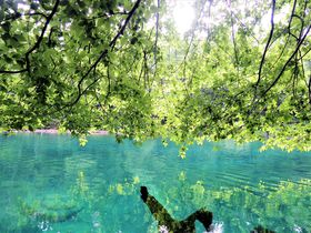 �x┌΂̂������ߊό��X�|�b�g8�I ���{��̓����x�Ɛ�i�𖞋i�I�̋L���T���l�C��