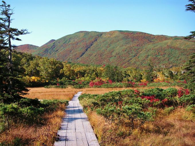 ニセコ 神仙沼 紅葉ハイキングが神秘的 アクセスと見頃ガイド 北海道 Lineトラベルjp 旅行ガイド