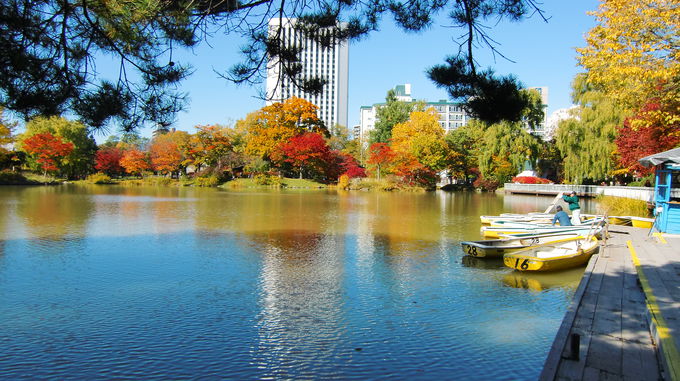 ボート遊びも！秋の札幌観光は｢中島公園｣で紅葉狩りができる