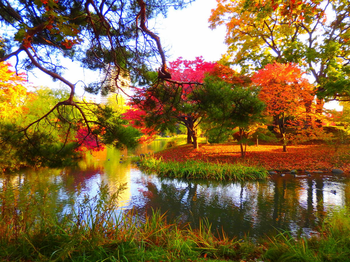 公園の中に公園が。「八窓庵」のある日本庭園が美しい