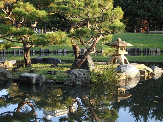 公園の中に公園が。「八窓庵」のある日本庭園が美しい