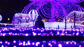 �u�����ۂ�z���C�g�C���~�l�[�V����2019-2020�v���ǂ���K�C�h�̋L���T���l�C��