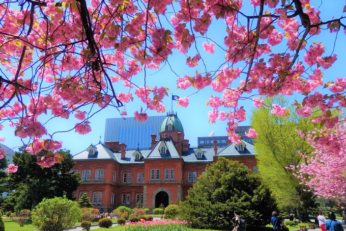 札幌の美しい四季の風景「北海道庁旧本庁舎(赤れんが庁舎)」