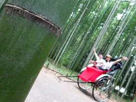 京都・嵐山の竹林の道を人力車で！観光マップいらずで快適な魅力６つ