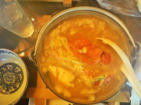 �ɐ����т������I�t�H�g�W�F�j�b�N�Ȉɐ��E�͍�Ԃ�U���̋L���T���l�C��