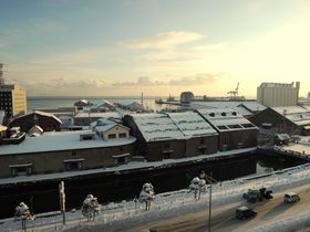 M̑Ɨs͂ǂɔ܂H߃ze10I̋LTlC