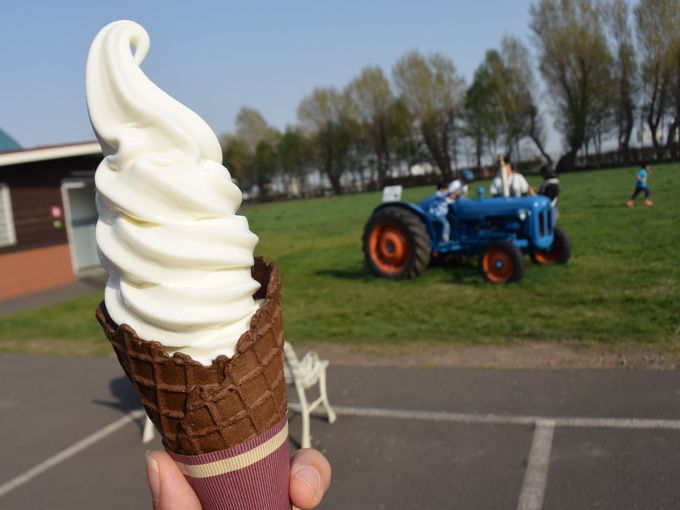 ミルク産出量日本一の北海道で味わう「ソフトクリーム」