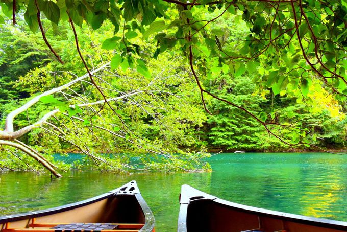 支笏湖の美しさをアクティビティで堪能！