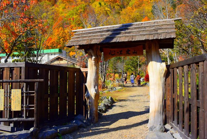 定山渓で足湯おこもり 札幌 心の里 定山 は森林浴 足湯の癒しスポット 北海道 Lineトラベルjp 旅行ガイド