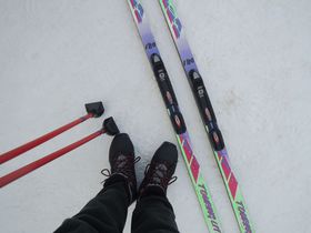 �D�y�X���Ő�V�сI�␢�E�u���������v�ŕ����X�L�[�����̌��̋L���T���l�C��