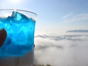 雲の上も下も絶景!?星野リゾートトマム「てんぼうかふぇ」「雲のしたカフェ＆マルシェ」が美しい