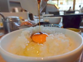 洗練された京都の美空間モーニング「モダンテラス京都」の"卵かけご飯"で究極の朝飯を