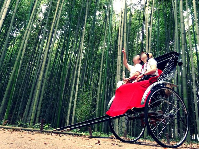 京都 嵐山の竹林の道を人力車で 観光マップいらずで快適な魅力６つ 京都府 Lineトラベルjp 旅行ガイド