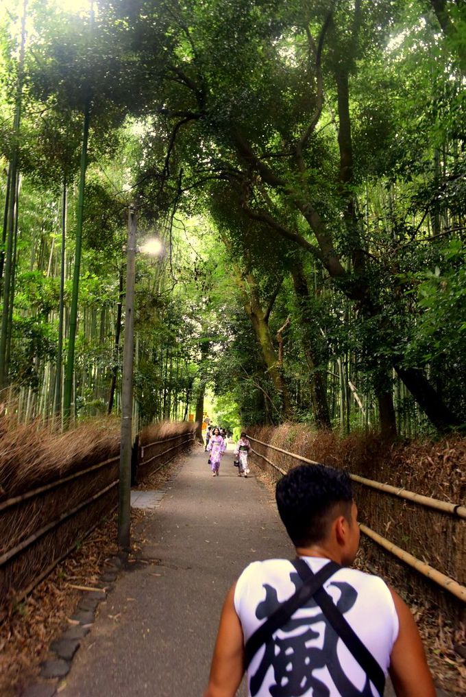 嵯峨野の竹林はSNS映え抜群！人力車で旬の美しいスポットへ