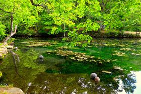 x_[IWȍ~xǖiX|bg܂Ƃ߂̋LTlC