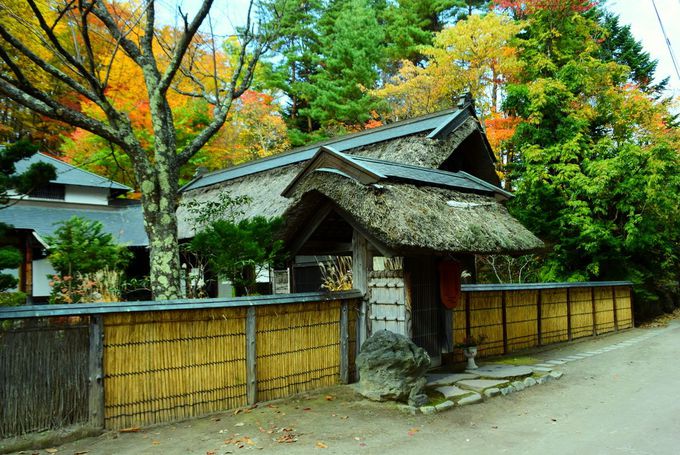 「紅桜公園」には釣り堀、日本庭園、数寄屋造のお茶室も