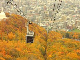 昼だって絶景！札幌「藻岩山」の紅葉狩りは楽しみ方３種類