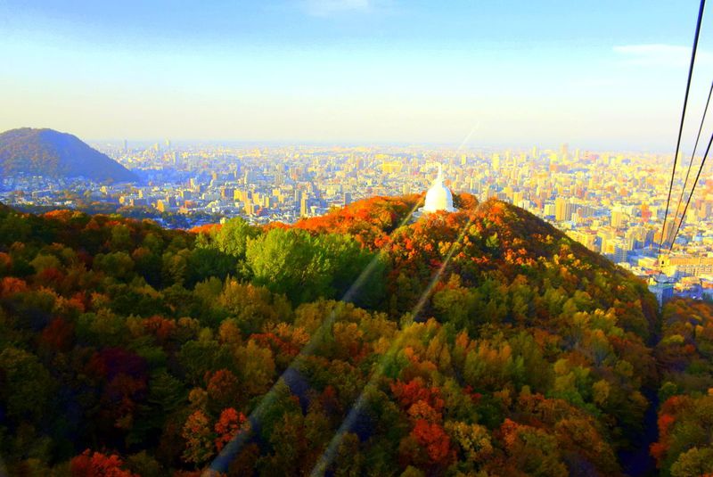 空から紅葉を見下ろすロープウェイの特別感とディープ感の味わえる登山やハイキング。