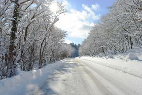 uAiv̐E݂ȁuX[hv16 x┌΂ւ̓̋LTlC